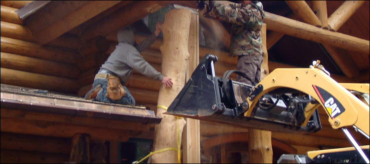 Log Home Log Replacement  Menifee County, Kentucky